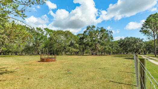 Brazoria null-story, 3-bed 543 County Road 508-idx