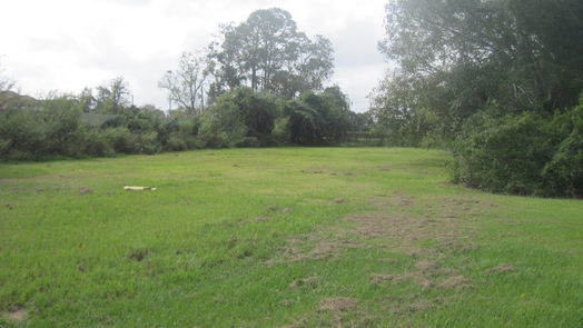 Brazoria null-story, null-bed 0 Highway 36-idx