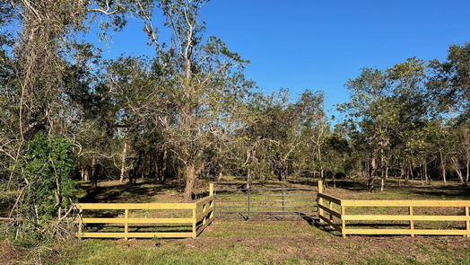 Brazoria null-story, null-bed 441 County Road 849-idx