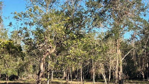 Brazoria null-story, null-bed 441 County Road 849-idx