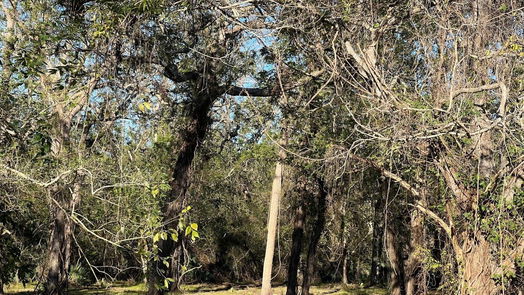 Brazoria null-story, null-bed 441 County Road 849-idx