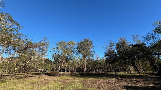 Brazoria null-story, null-bed 441 County Road 849-idx