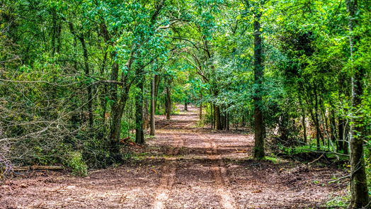 Brookshire null-story, null-bed TBD (34.148 Acres) Pryor Road Esmt-idx