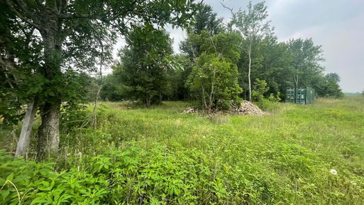 Pattison null-story, null-bed 3275 Fm-362-idx