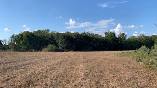 Pattison null-story, null-bed TBD Mt Zion Road-idx