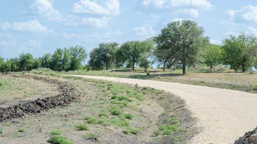 Brenham null-story, null-bed 000 Sunflower LN-idx