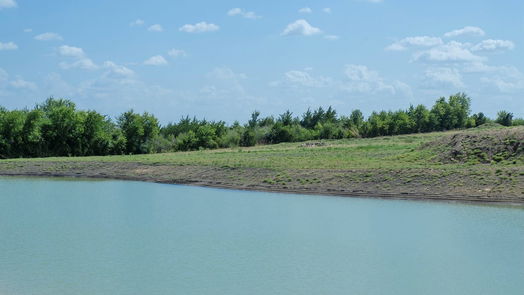 Brenham null-story, null-bed 000 Sunflower LN-idx