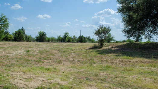 Brenham null-story, null-bed 000 Sunflower LN-idx