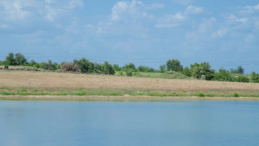 Brenham null-story, null-bed 000 Sunflower LN-idx