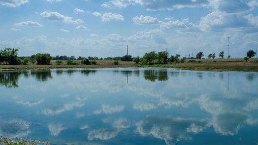 Brenham null-story, null-bed 000 Sunflower LN-idx