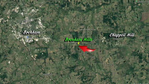 Brenham null-story, null-bed 000 Sunflower LN-idx