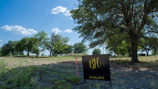 Brenham null-story, null-bed 000 Sunflower LN-idx
