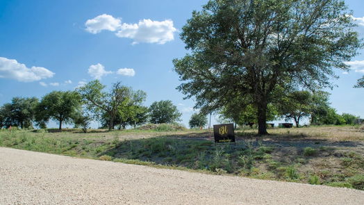 Brenham null-story, null-bed 000 Sunflower LN-idx