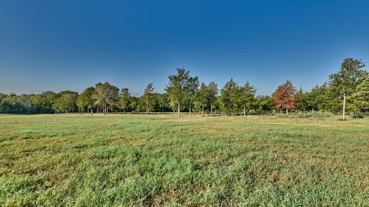 Chappell Hill null-story, null-bed TBD Trackside Road-idx