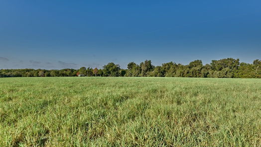 Chappell Hill null-story, null-bed TBD Trackside Road-idx