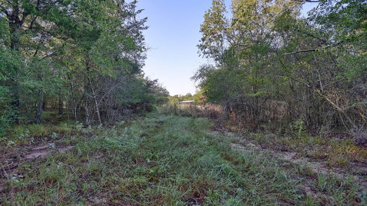 Chappell Hill null-story, null-bed TBD Trackside Road-idx