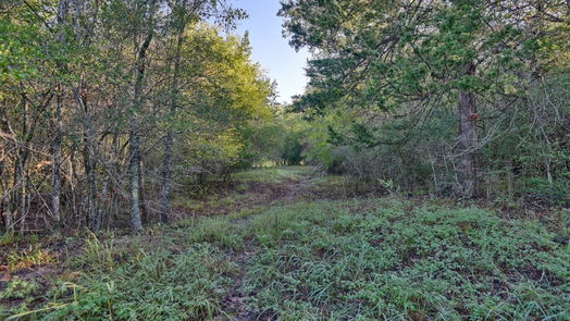 Chappell Hill null-story, null-bed TBD Trackside Road-idx