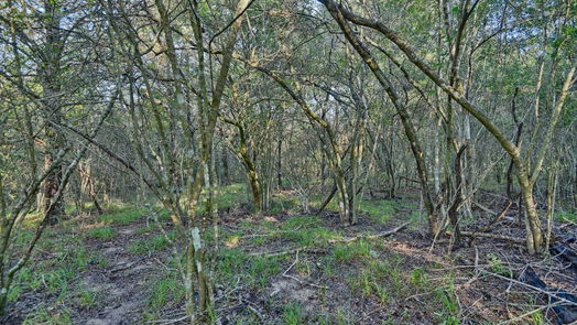 Chappell Hill null-story, null-bed TBD Trackside Road-idx