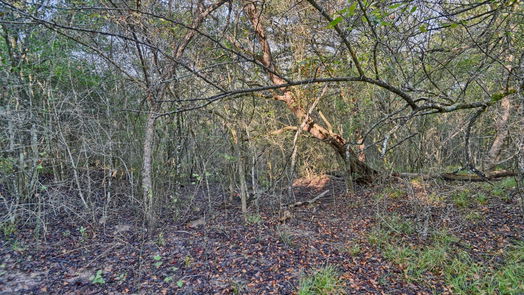 Chappell Hill null-story, null-bed TBD Trackside Road-idx