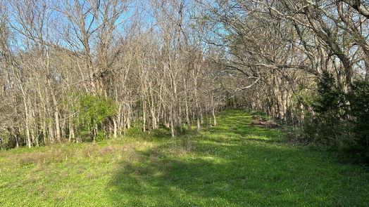 Chappell Hill null-story, null-bed 6550 Gibbs Creek Road-idx