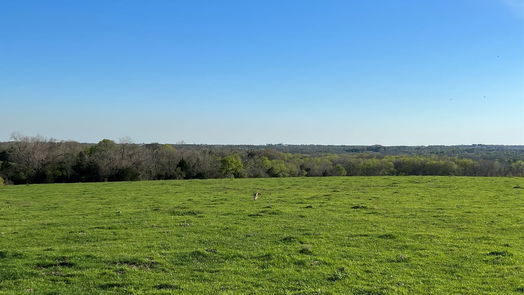 Chappell Hill null-story, null-bed 6550 Gibbs Creek Road-idx