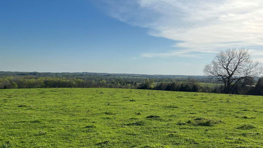 Chappell Hill null-story, null-bed 6550 Gibbs Creek Road-idx