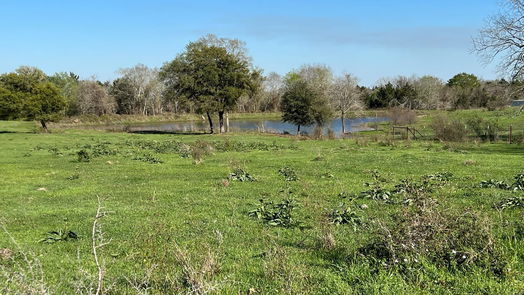 Chappell Hill null-story, null-bed 6550 Gibbs Creek Road-idx