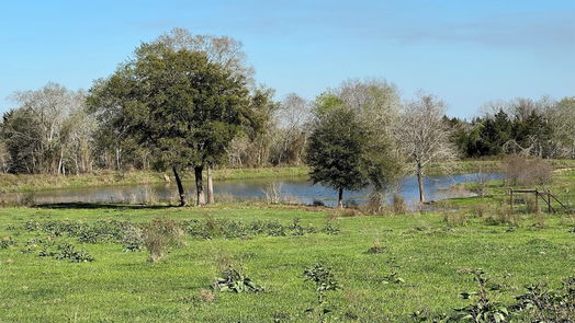 Chappell Hill null-story, null-bed 6550 Gibbs Creek Road-idx