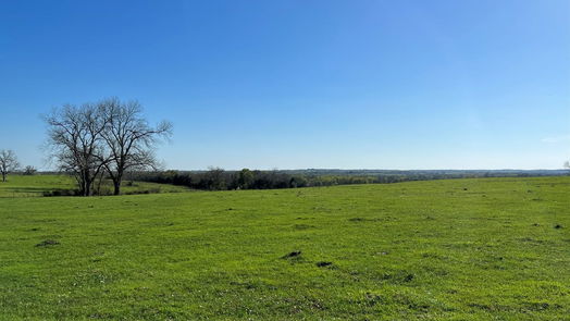 Chappell Hill null-story, null-bed 6550 Gibbs Creek Road-idx