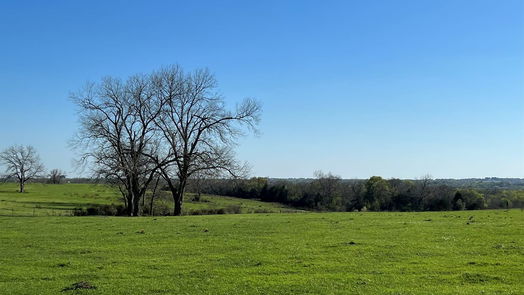 Chappell Hill null-story, null-bed 6550 Gibbs Creek Road-idx