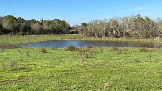 Chappell Hill null-story, null-bed 6550 Gibbs Creek Road-idx
