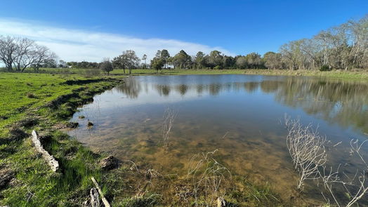 Chappell Hill null-story, null-bed 6550 Gibbs Creek Road-idx