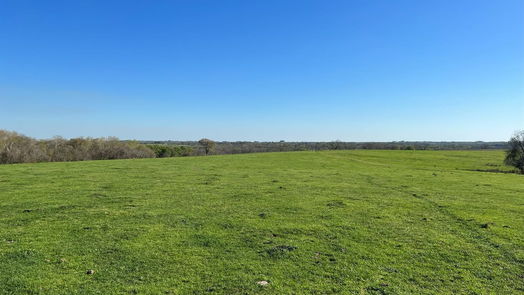 Chappell Hill null-story, null-bed 6550 Gibbs Creek Road-idx