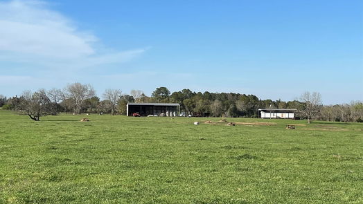 Chappell Hill null-story, null-bed 6550 Gibbs Creek Road-idx