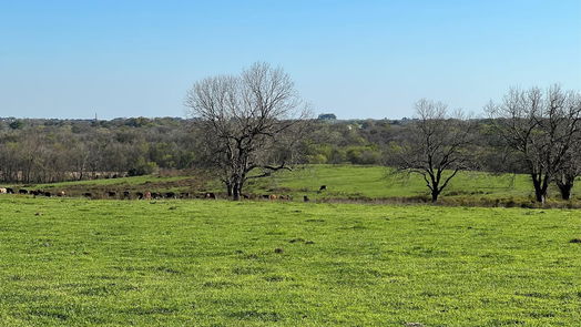 Chappell Hill null-story, null-bed 6550 Gibbs Creek Road-idx