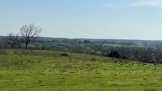 Chappell Hill null-story, null-bed 6550 Gibbs Creek Road-idx