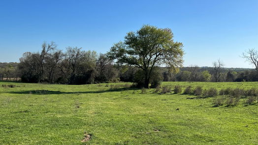 Chappell Hill null-story, null-bed 6550 Gibbs Creek Road-idx