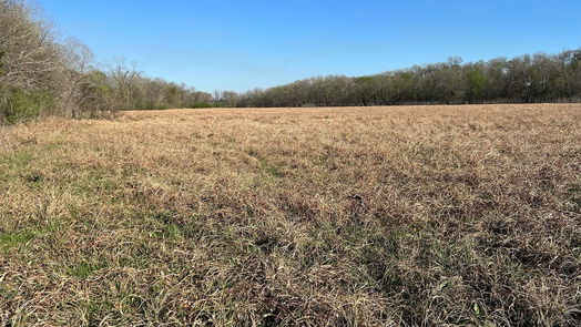 Chappell Hill null-story, null-bed 6550 Gibbs Creek Road-idx