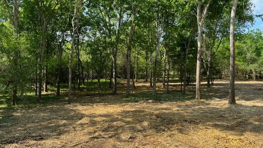 Chappell Hill null-story, null-bed TBD Hidden Trail Lot 44-idx