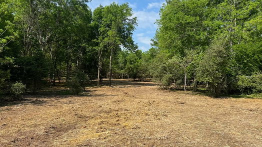 Chappell Hill null-story, null-bed TBD Hidden Trail Lot 44-idx