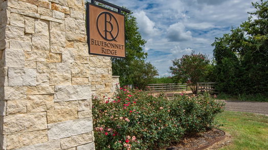 Chappell Hill 1-story, 4-bed 1404 Bluebonnet Ridge Drive-idx