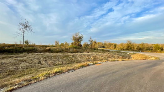 Chappell Hill null-story, null-bed 10168 Vista Place-idx