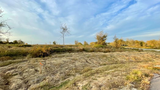 Chappell Hill null-story, null-bed 10168 Vista Place-idx