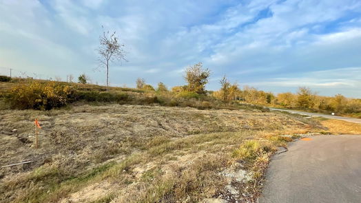 Chappell Hill null-story, null-bed 10168 Vista Place-idx