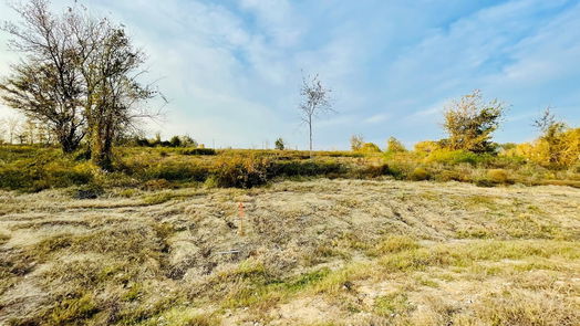 Chappell Hill null-story, null-bed 10168 Vista Place-idx