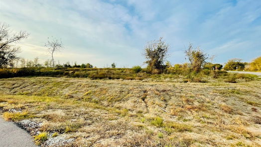 Chappell Hill null-story, null-bed 10168 Vista Place-idx