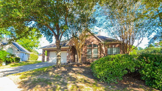 Cypress null-story, 3-bed 18002 Trellis Estates Court-idx