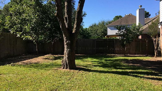 Houston 2-story, 4-bed 14111 White Oak Garden-idx