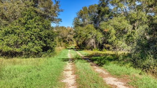 Damon null-story, null-bed 000 County Road 509 Off County Rd-idx