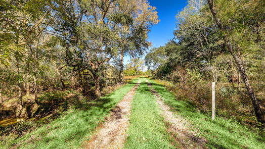 Damon null-story, null-bed 000 County Road 509 Off County Rd-idx